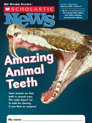 Amazing Animal Teeth