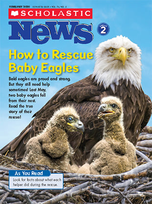 How to Rescue Baby Eagles - February 2020