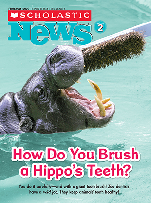 How Do You Brush a Hippo's Teeth? - February 2020