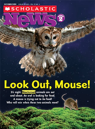 Scholastic News Magazine on Behance