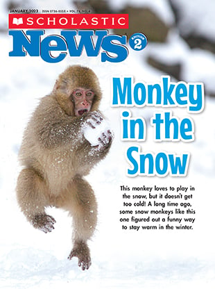 The Monkey Who Went Into the Cold