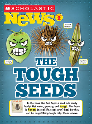 Scholastic News Suess News the Big issue