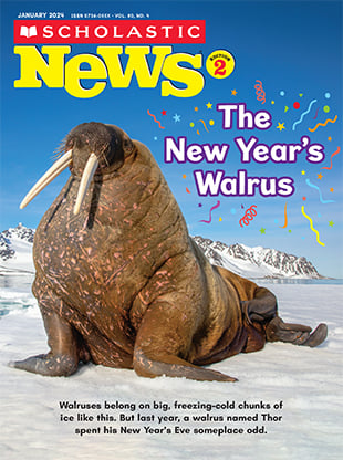 2nd Grade - Ms. Lent / What's New in Scholastic News?