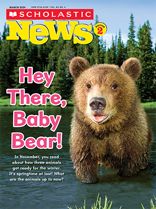 Hey There Baby Bear March 2024   SN2 030224 BabyBear 1 